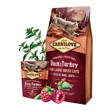 CARNILOVE CAT LARGE BREED DUCK & TURKEY bezgraudu sausā kaķu barība Pīle, tītars 2kg